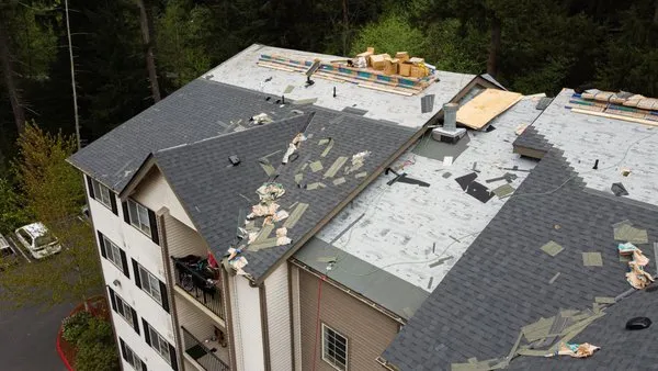 Rainier Repair Services