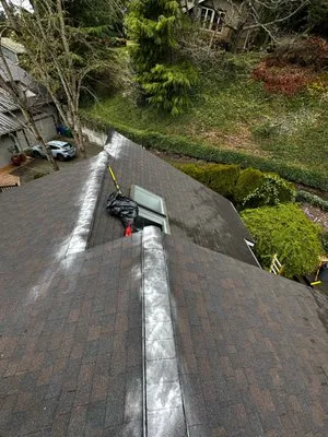 Rainier Roof & Solar Solutions