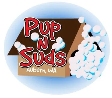 Slide of Rainier Roof Restoration