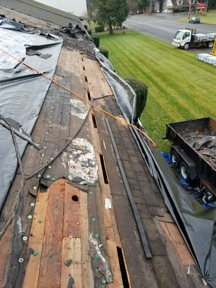 Slide of Rainy Day Lawn Care & Maintenance