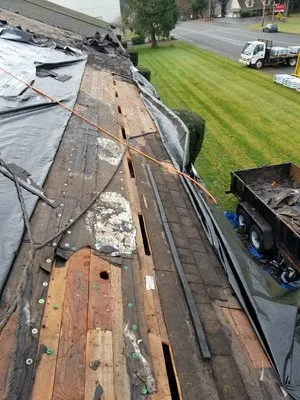 Rainy Day Lawn Care & Maintenance