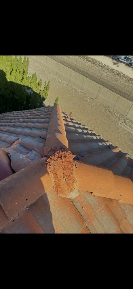 Slide of Raise The Roof Repairs