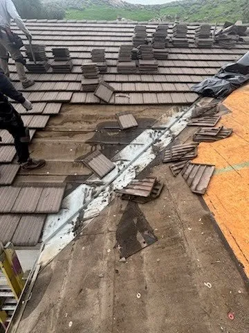 Slide of Raise The Roof Repairs