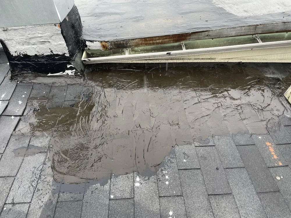 Slide of Ralda Roofing & Gutter Handyman