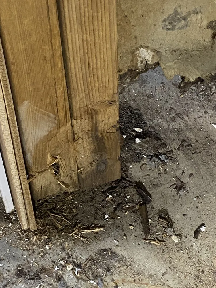 Reliable roof leak repair in Huron, TN by Ralph’s repairs and restoration services