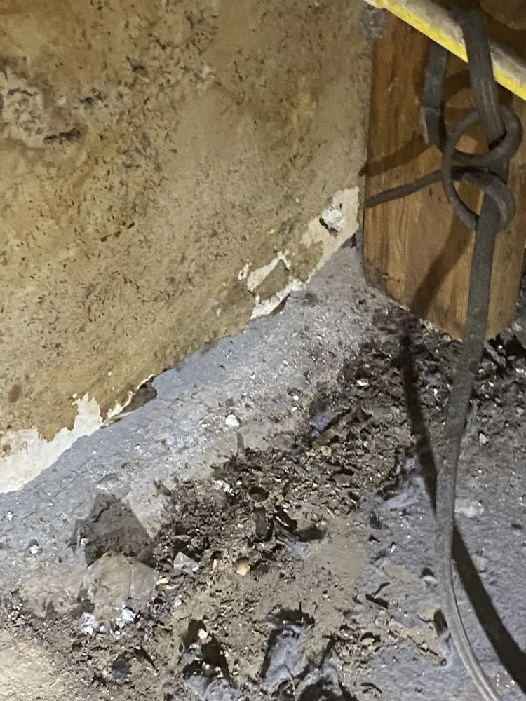 Trusted flat roof repair in Huron, TN by Ralph’s repairs and restoration services