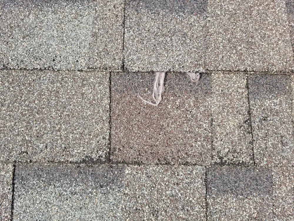 Slide of RAM Exteriors