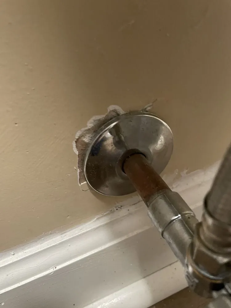 Slide of Ram Restoration