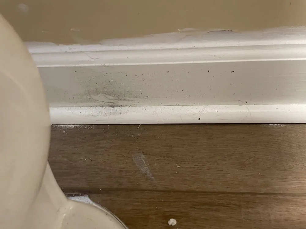 Slide of Ram Restoration