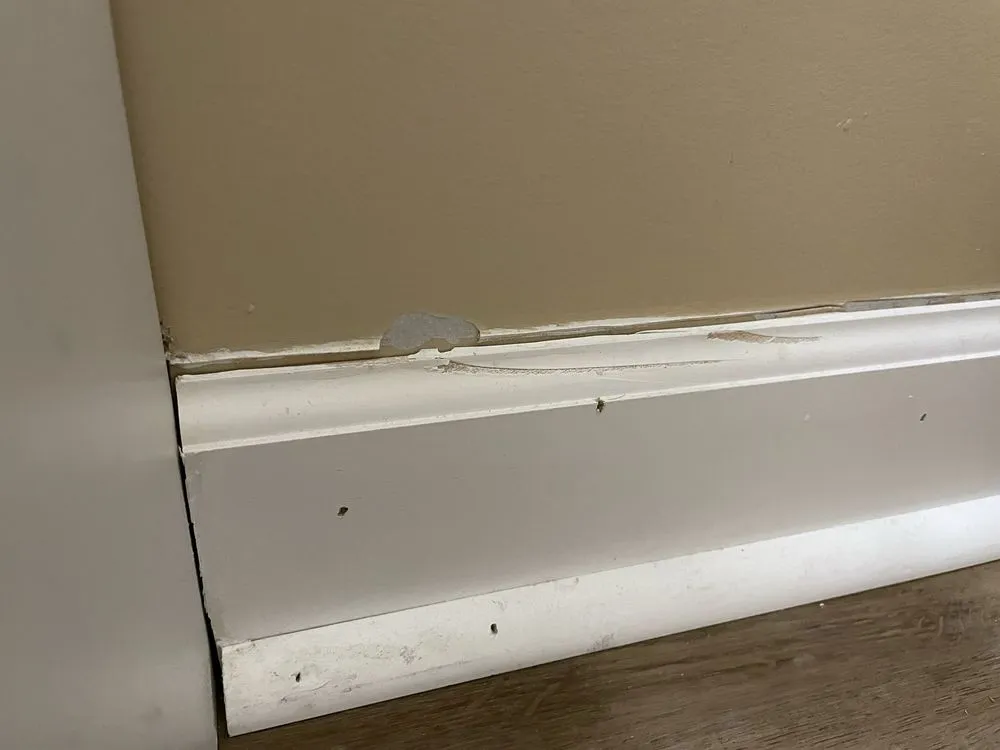 Slide of Ram Restoration