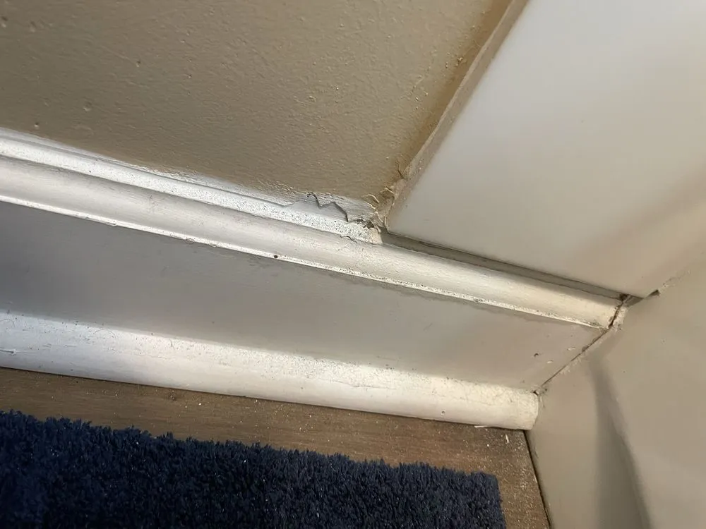 Slide of Ram Restoration