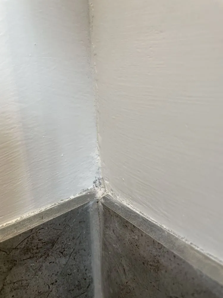 Slide of Ram Restoration