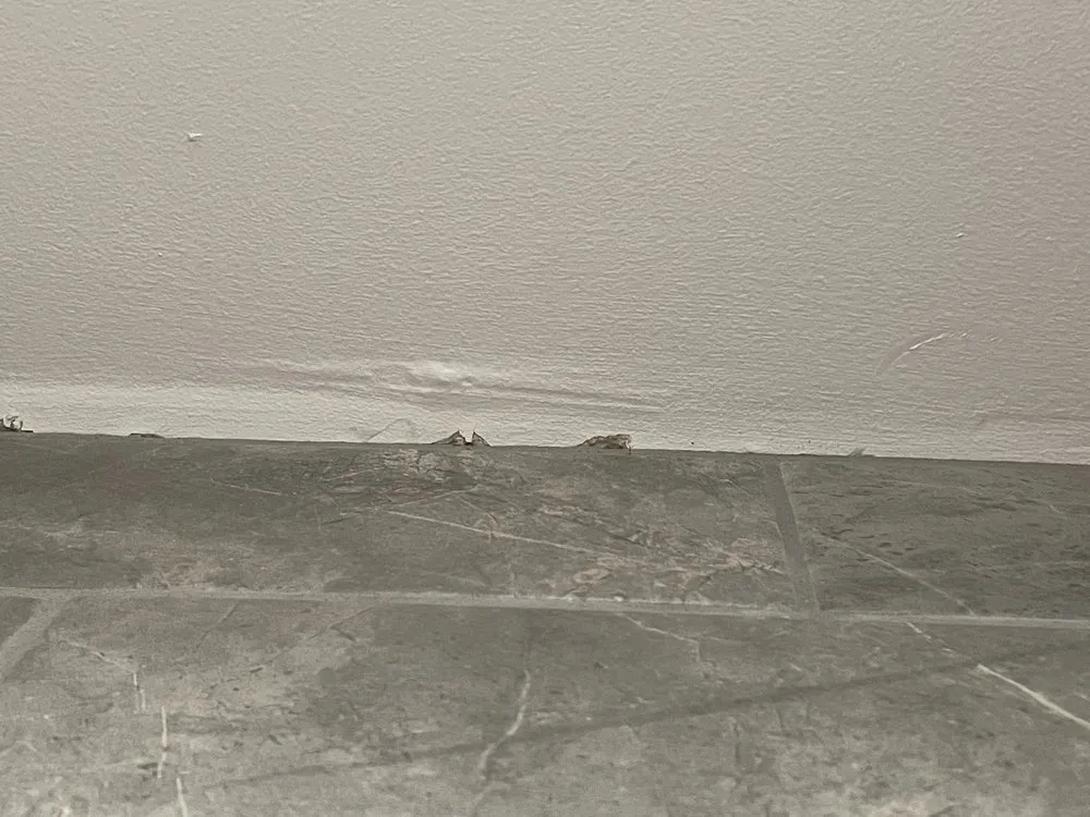 Slide of Ram Restoration