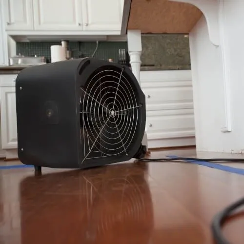 Slide of Ram Restoration