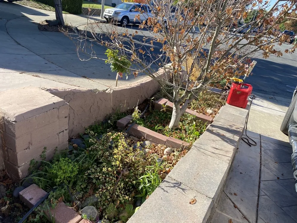 Slide of Ramirez Tree Service 