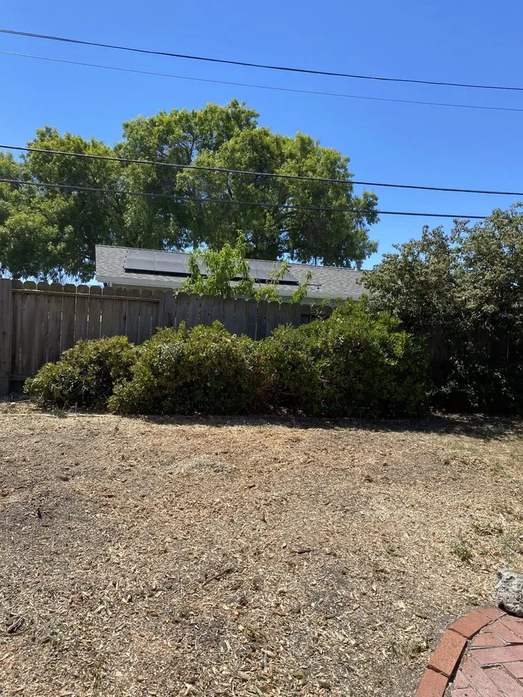 Slide of Ramirez Tree Service 