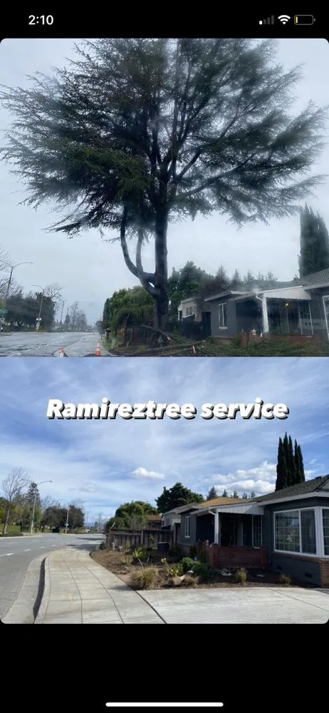 Slide of Ramirez Tree Service 