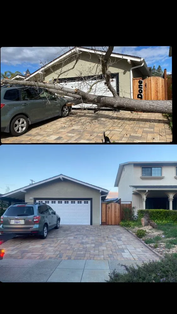 Slide of Ramirez Tree Service 