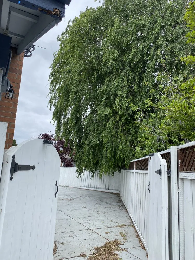 Slide of Ramirez Tree Service 