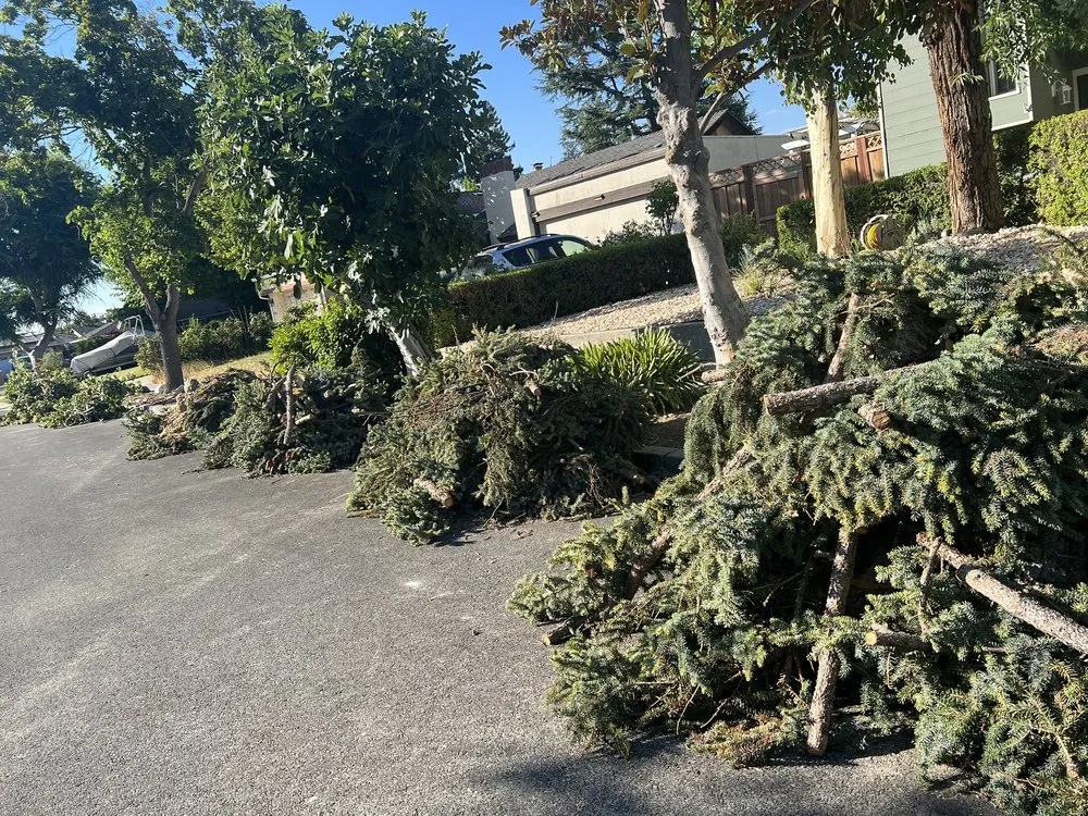 Slide of Ramirez Tree Service 