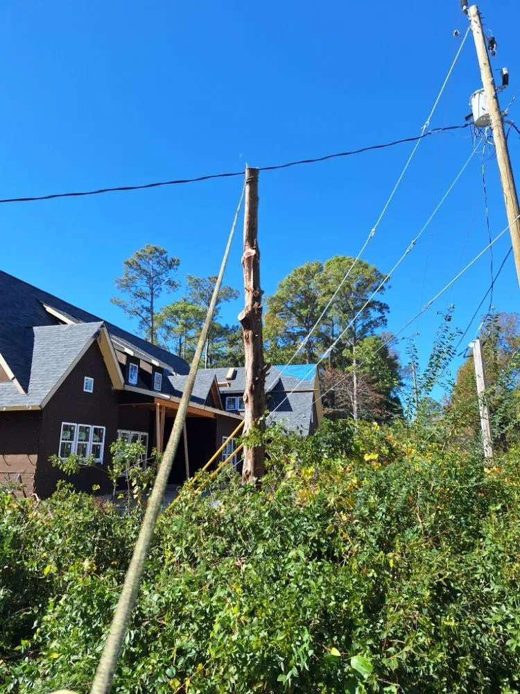 Slide of Ramon's Tree Service