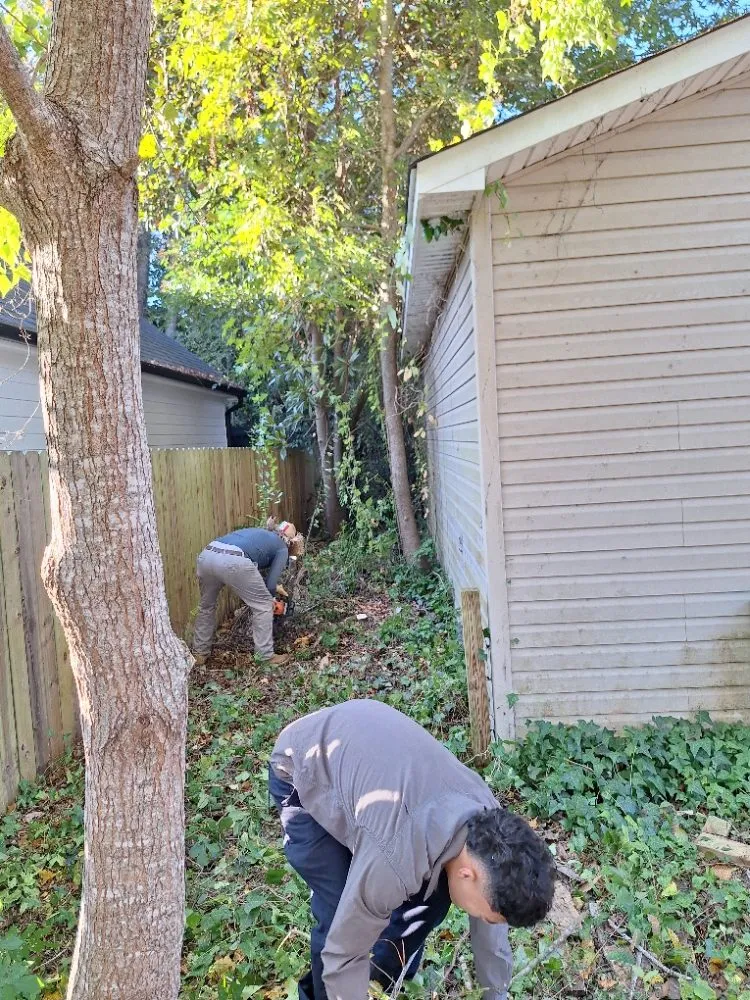 Slide of Ramon's Tree Service