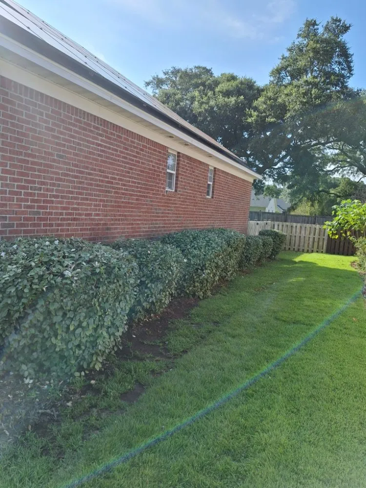 Slide of Ramon's Tree Service