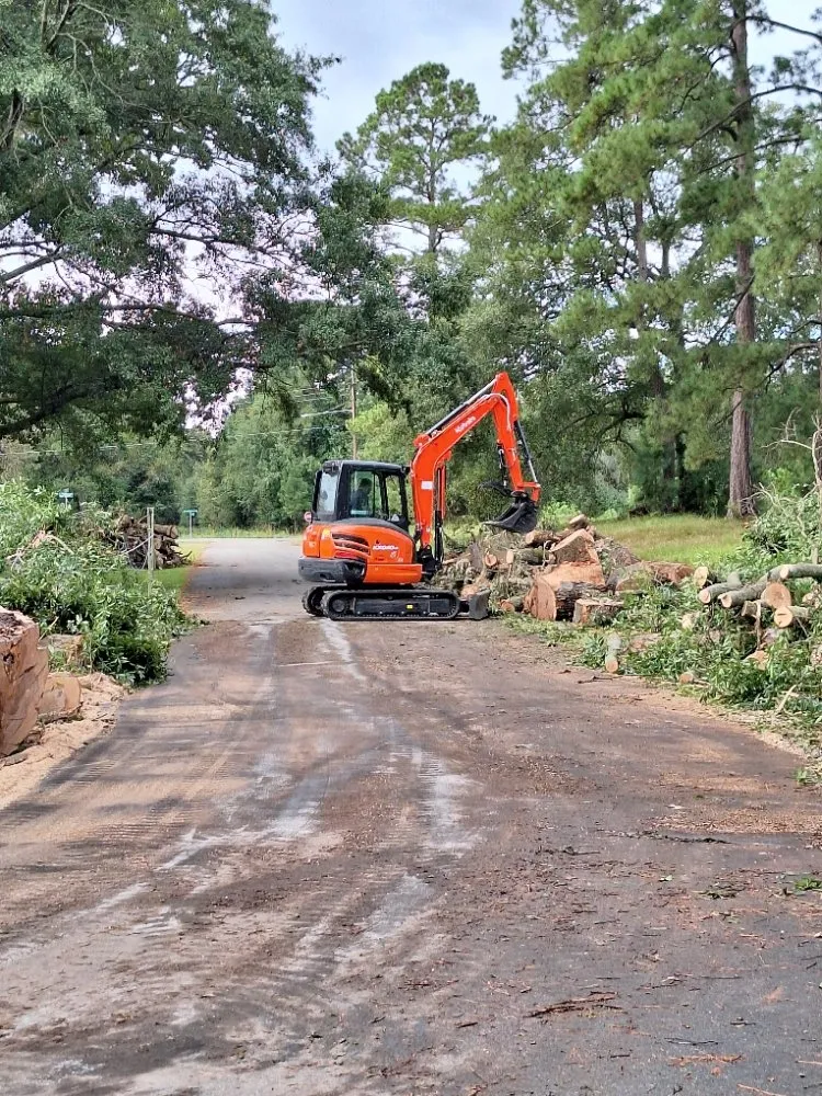 Slide of Ramon's Tree Service