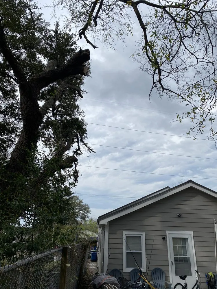 Slide of Ramon's Tree Service