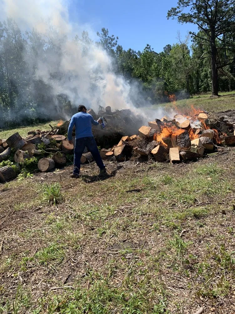 Slide of Ramon's Tree Service