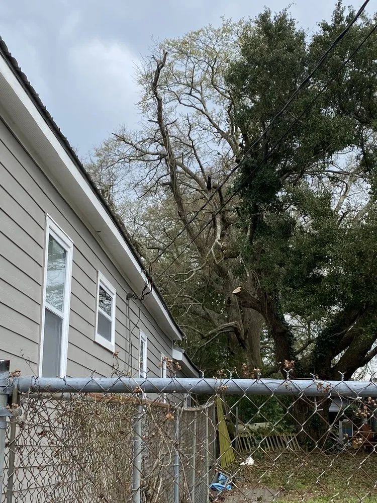 Slide of Ramon's Tree Service