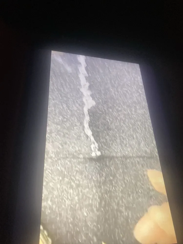 Slide of Ramon's Tree Service