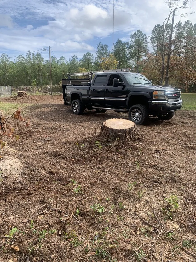 Slide of Ramon's Tree Service