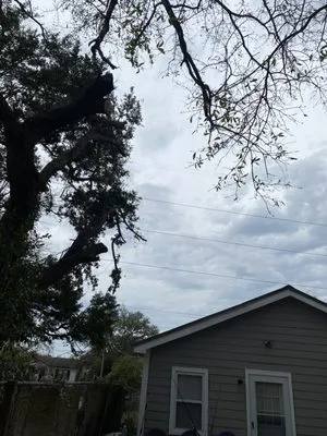 Ramon's Tree Service Logo