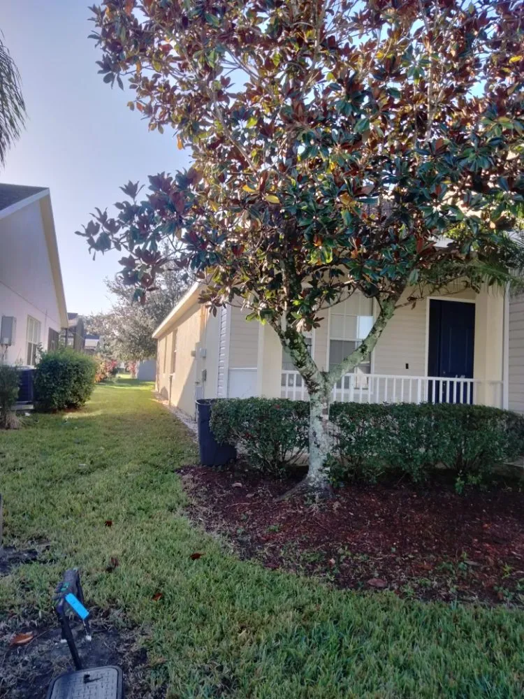 Slide of Randy J's Construction