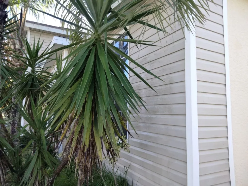 Slide of Randy J's Construction