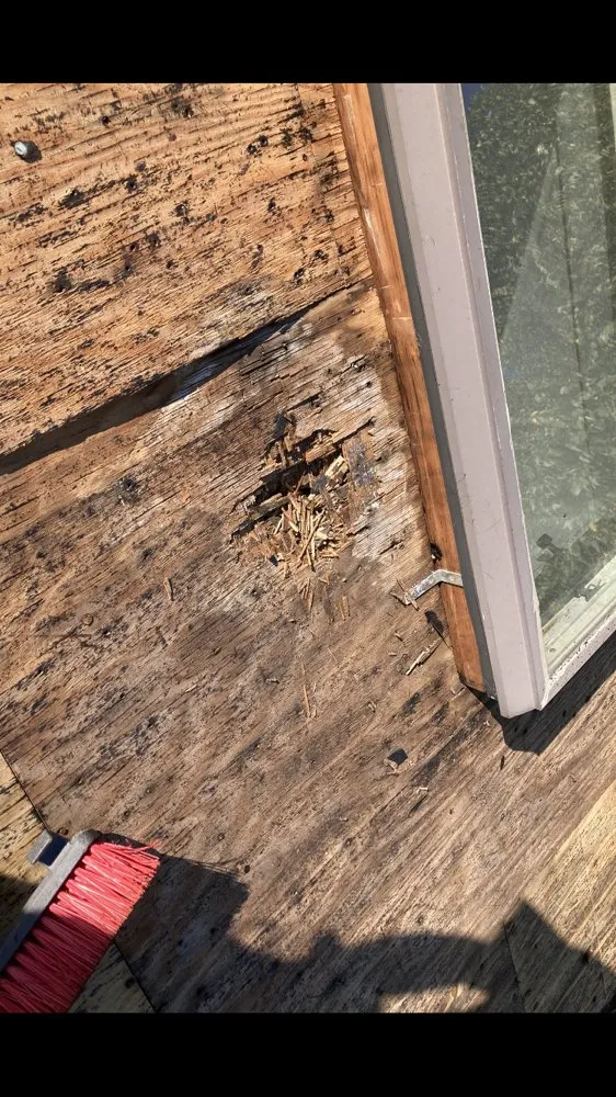 Slide of Randys Roofing And Repair