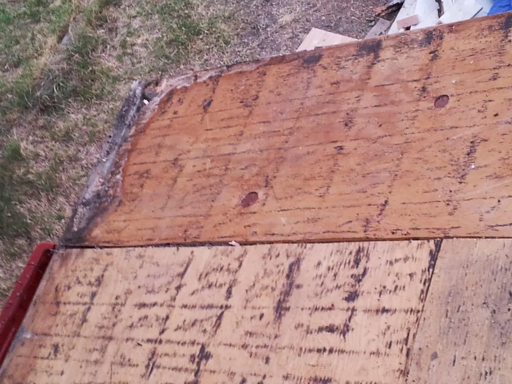 Slide of Rankin Lyman