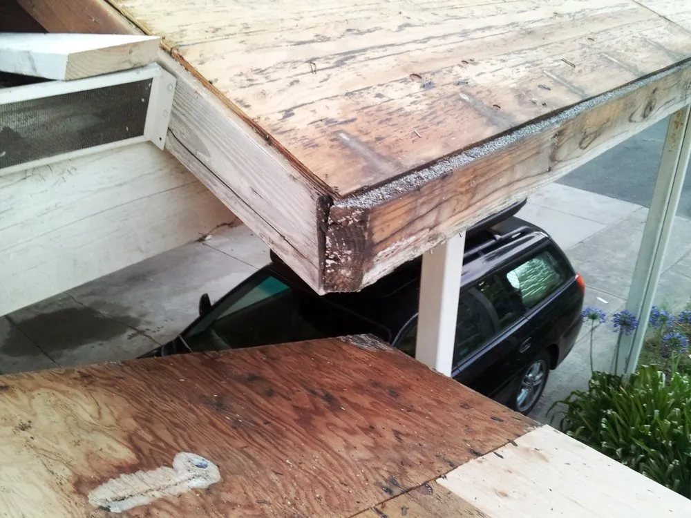 Slide of Rankin Lyman