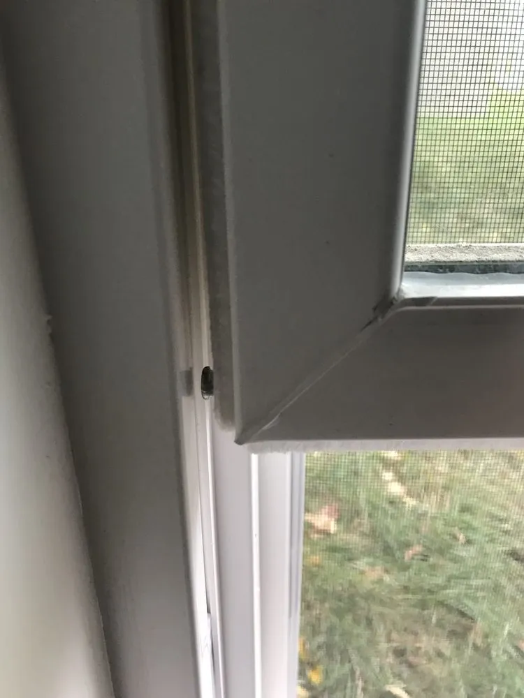 Slide of Rapid Exteriors - Roofing, Siding, Windows