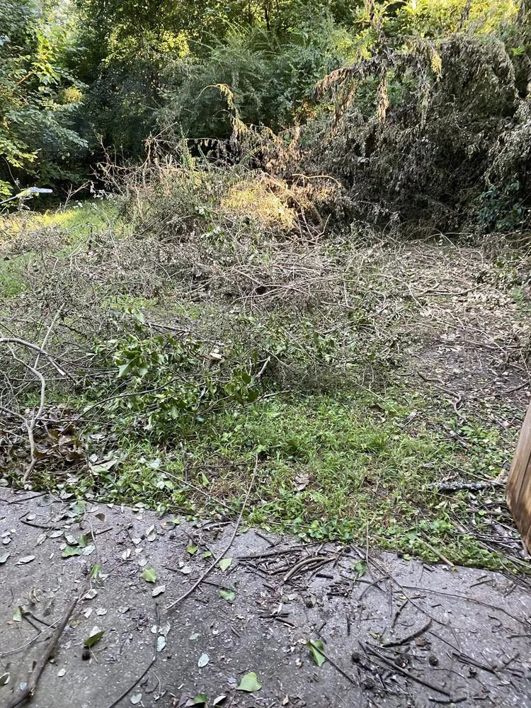 Slide of Rapid Removal Plus