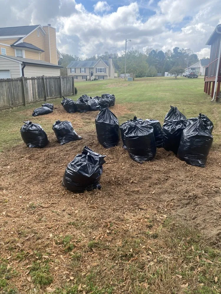 Slide of Rapid Removal Plus