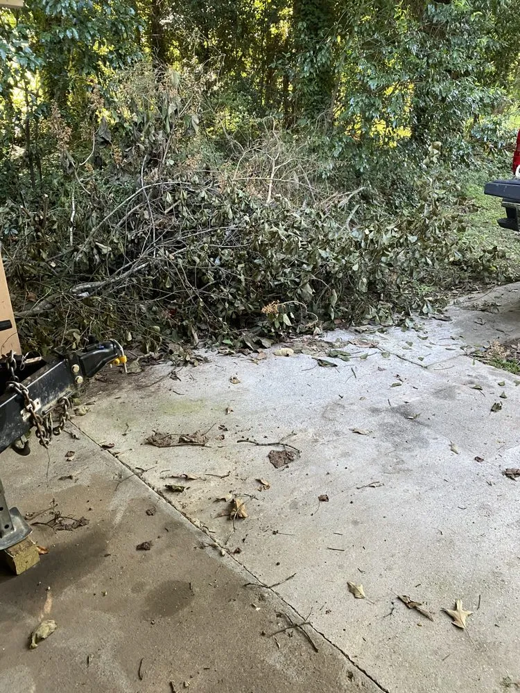 Slide of Rapid Removal Plus