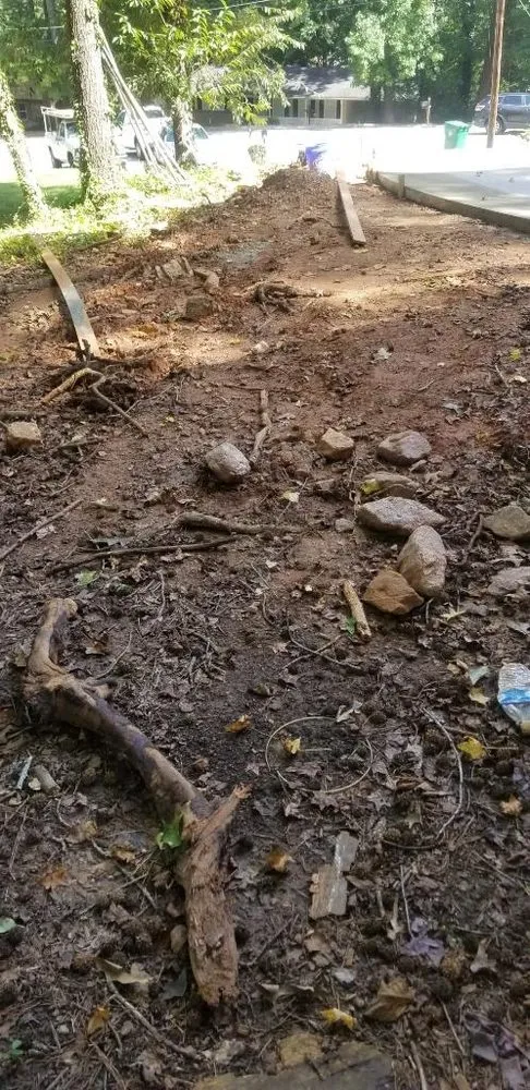 Slide of Rapid Removal Plus