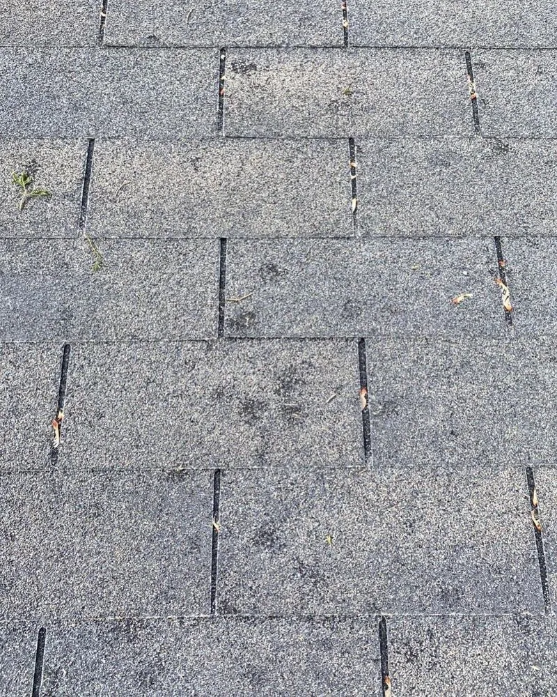 Slide of Rapid Restoration & Construction