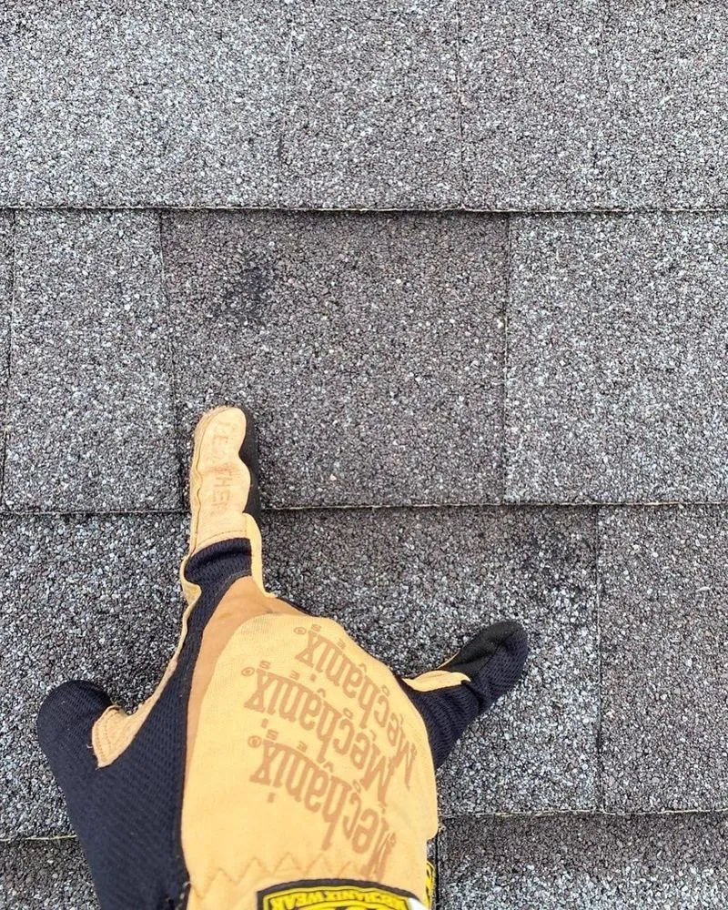 Slide of Rapid Restoration & Construction