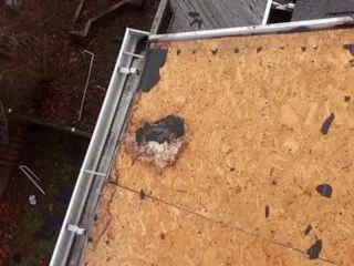 Slide of Rapid Roofing & Remodeling