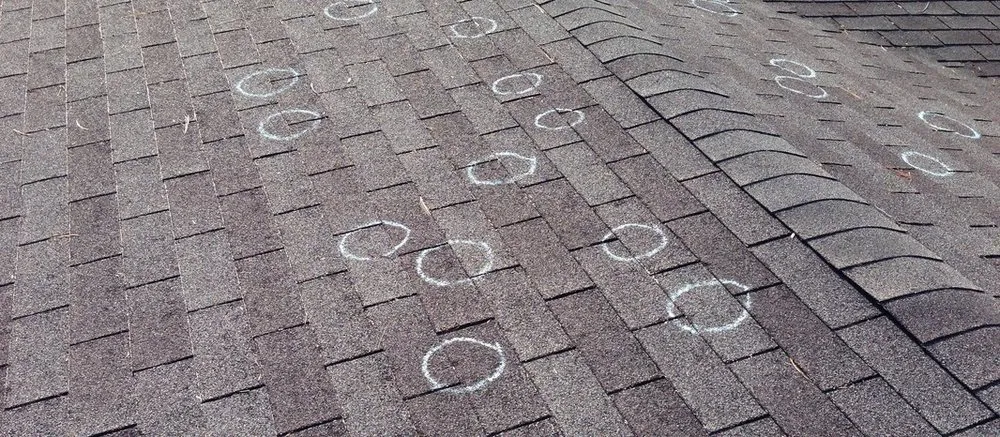 Slide of Raptor Roofing and Construction