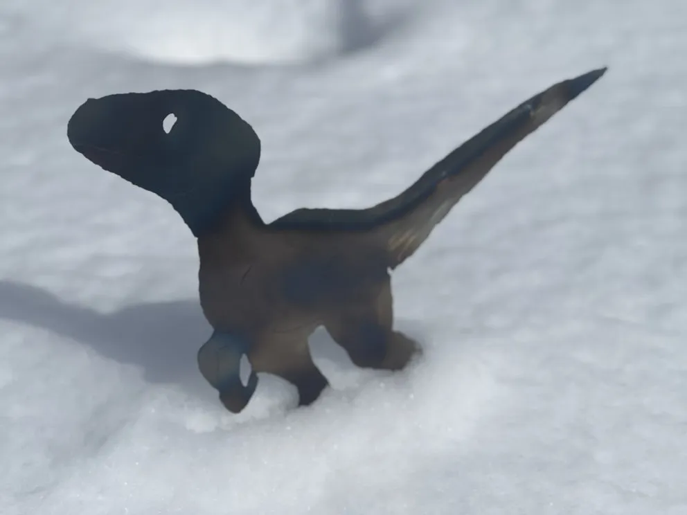 Slide of Raptor Roofing