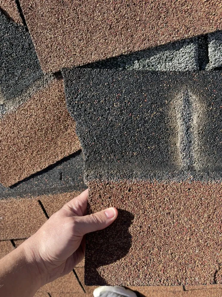 Slide of Raptor Roofing